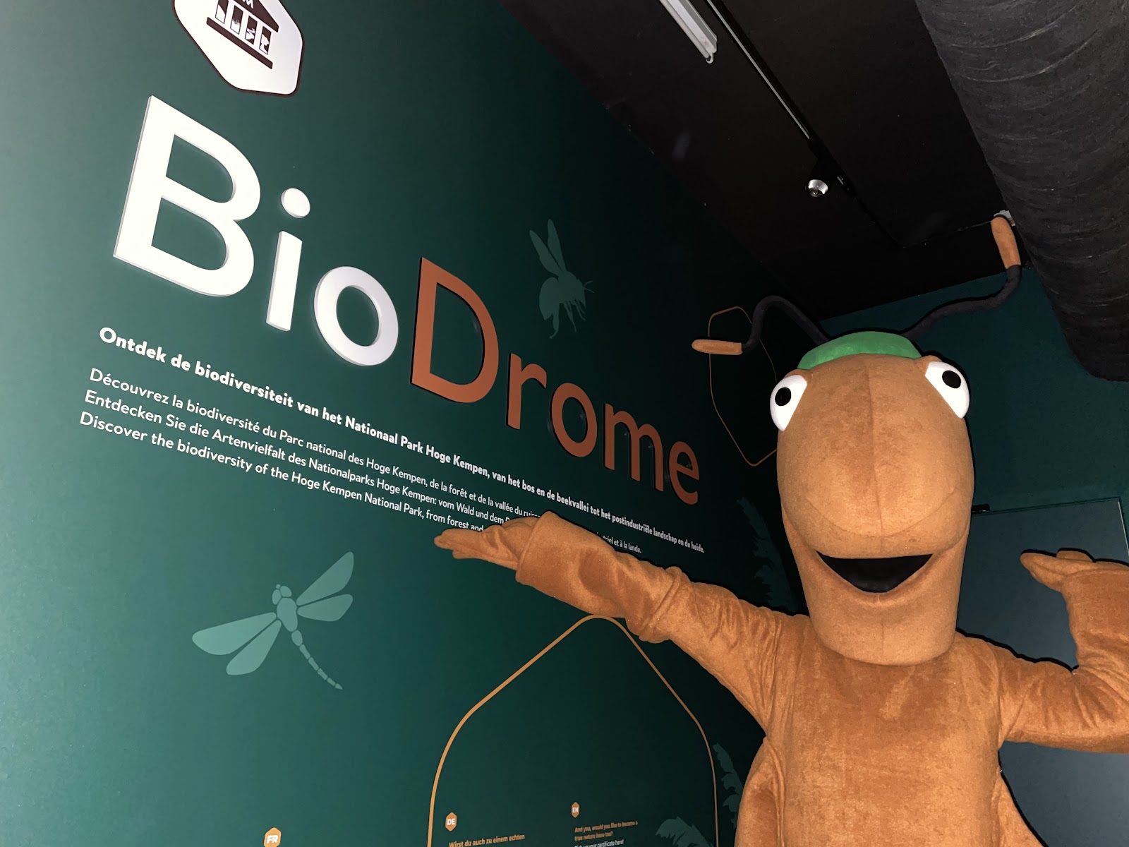 BioDrome Lieteberg in Zutendaal — museum