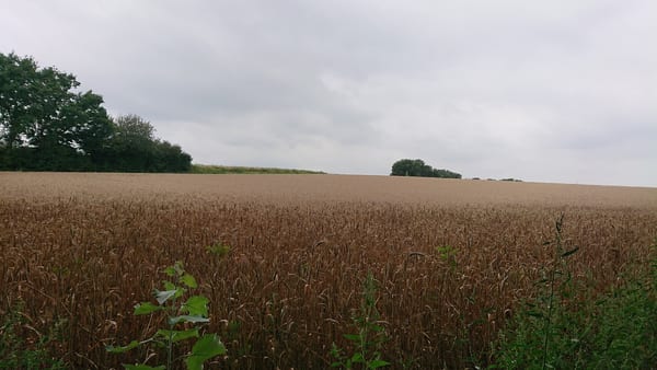 IVN Munstergeleen (Heemtuin) in natuur