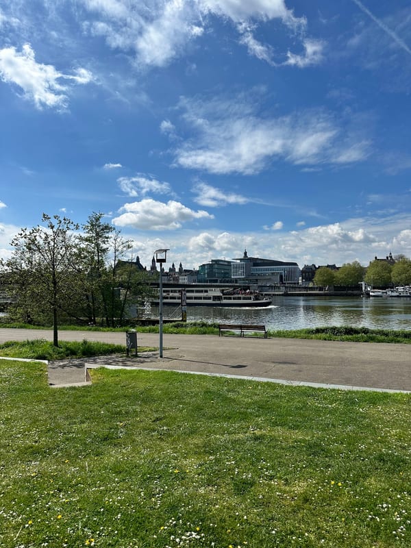Griendpark in Natuur