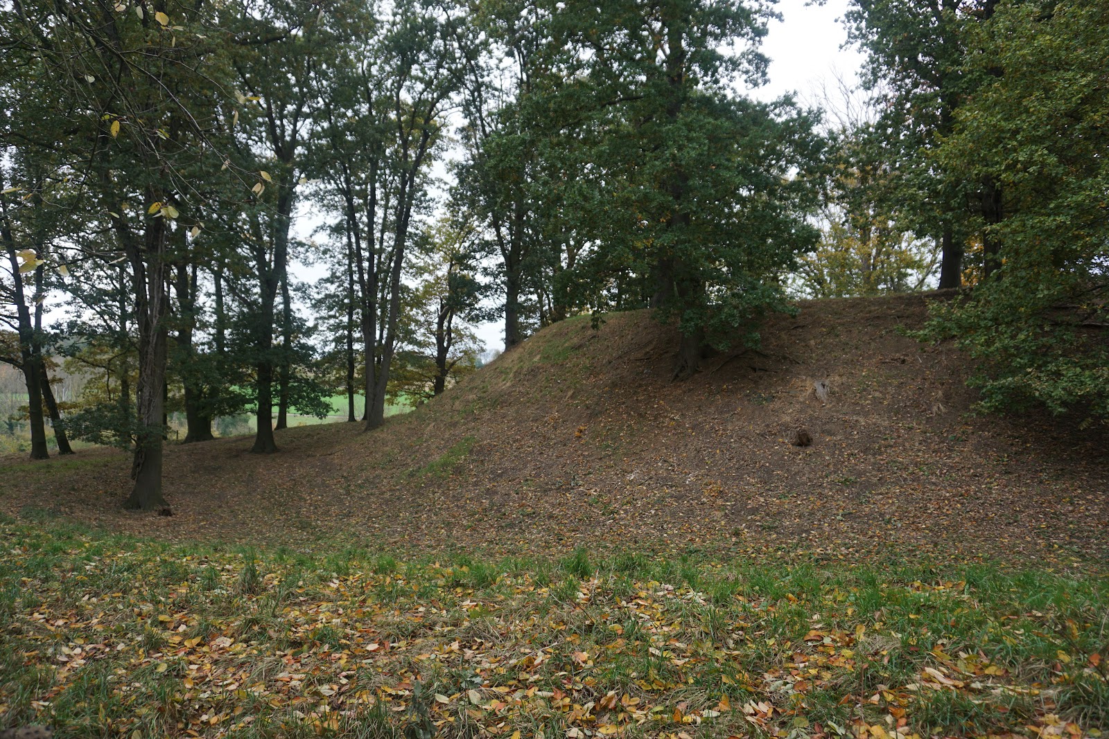 Motte 'de Tombe' in Maastricht — museum
