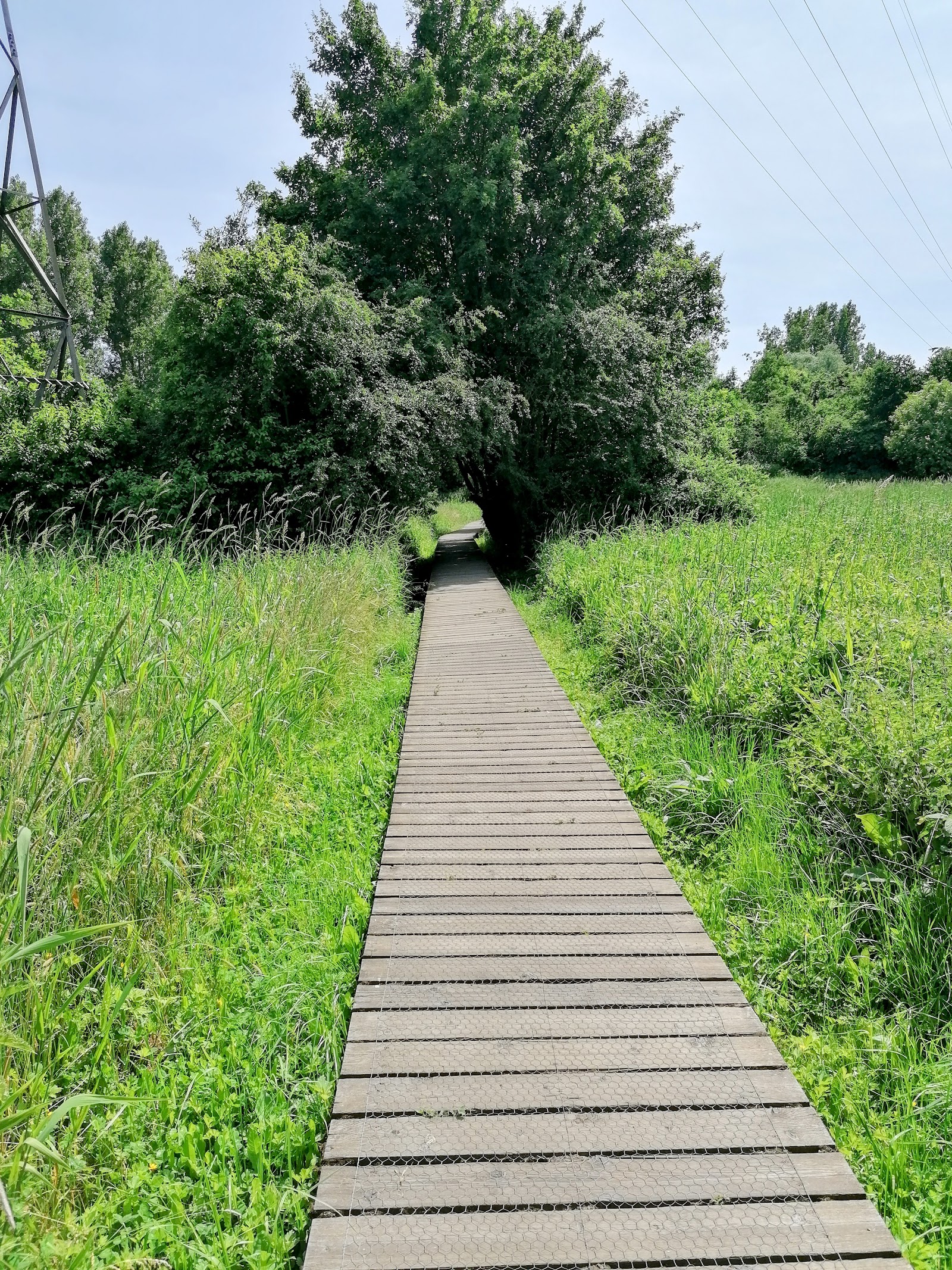 Start Landschapswandeling - Mombeekvallei - Muntelbeek in Alken