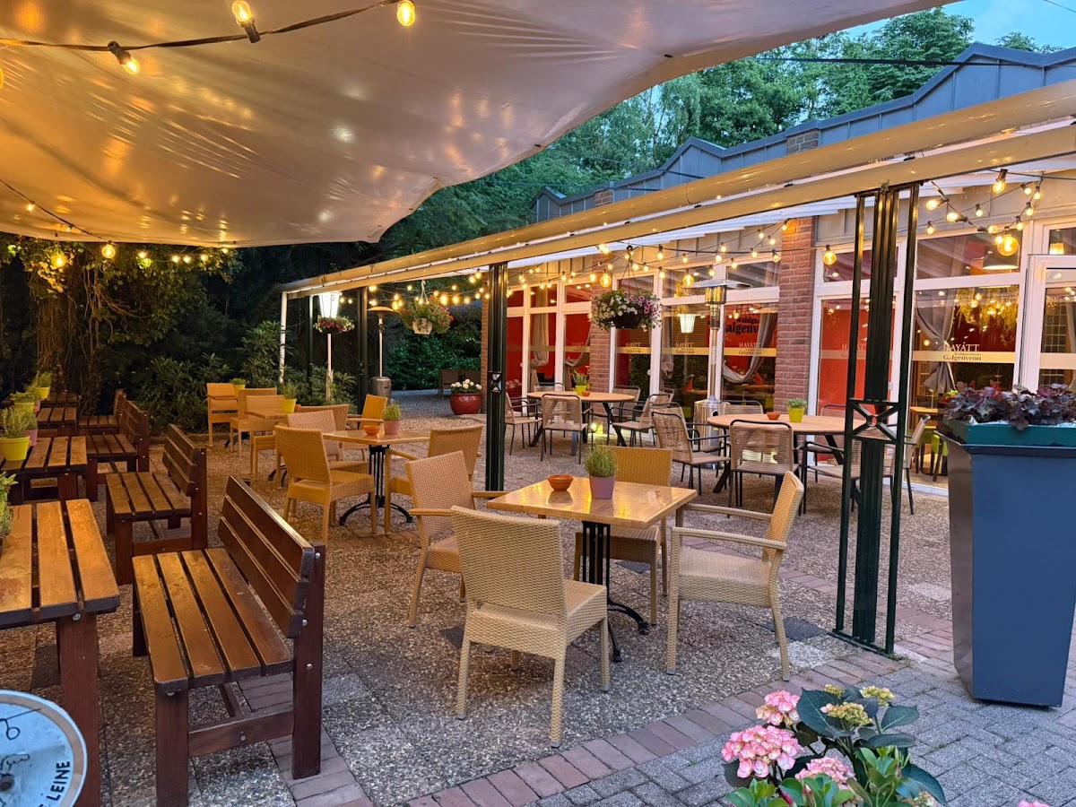 Hayatt Nettetal Galgenvenn in Nettetal — café