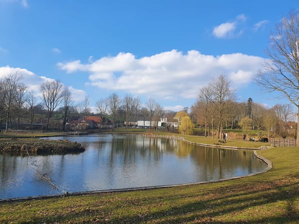 Nierhoven in natuur