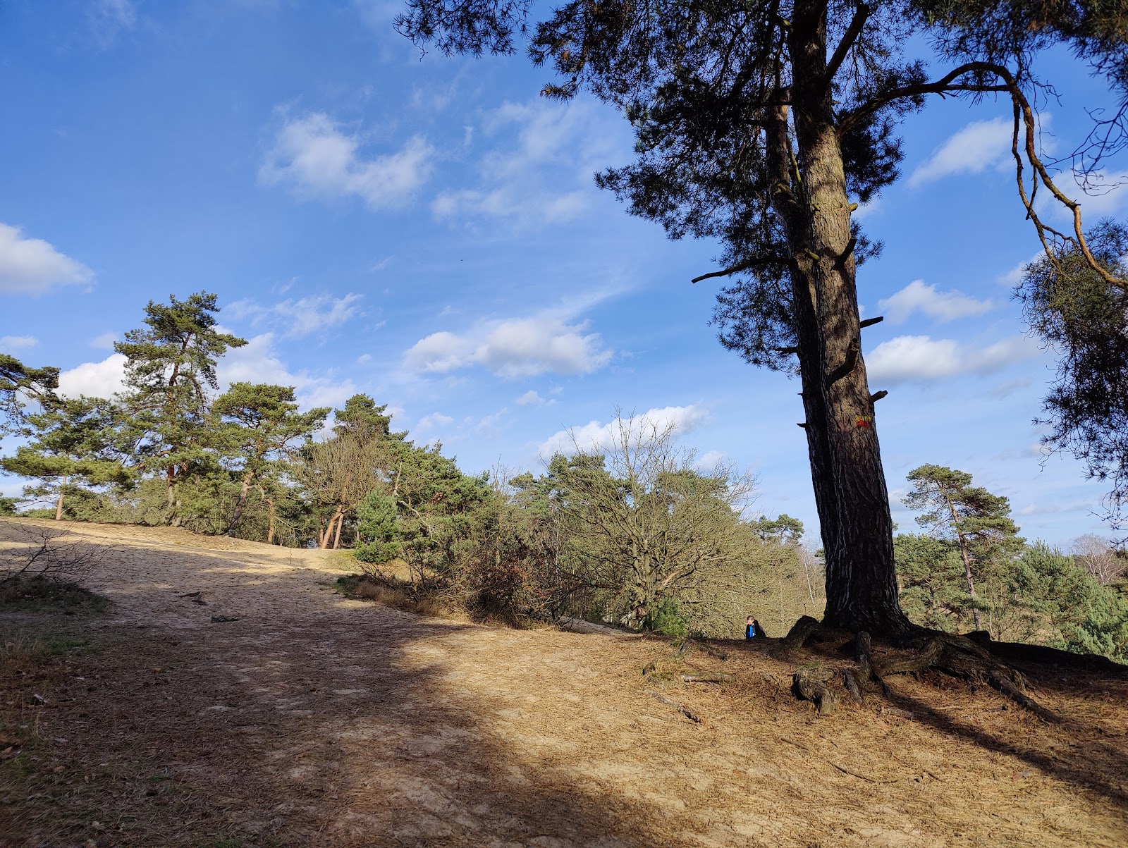 Witte Berg in Velden — park