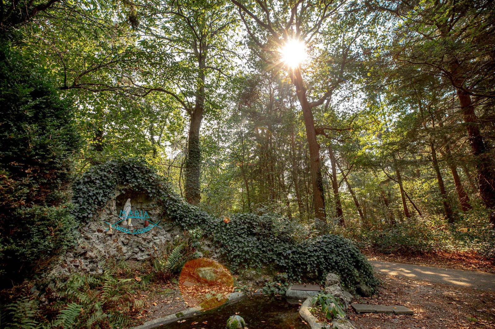 Auxiliatrixpark in Venlo — park