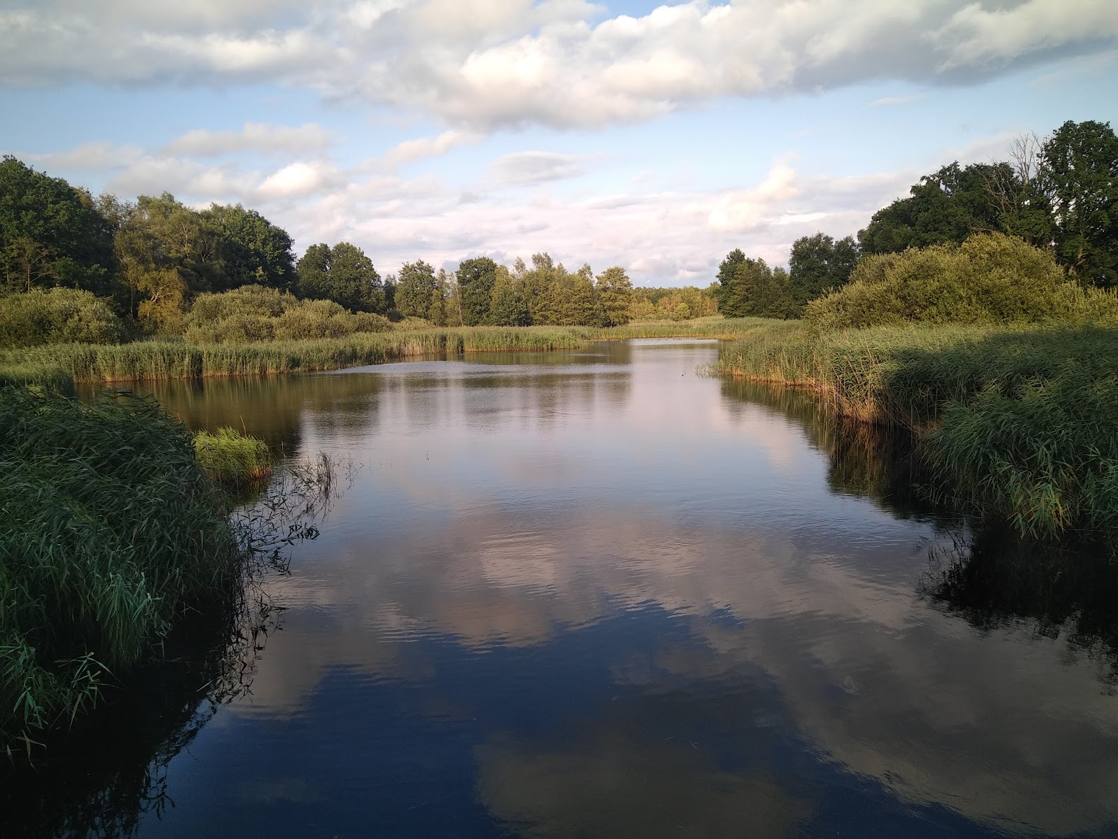 Natuurgebied De Ballewijer in Zonhoven