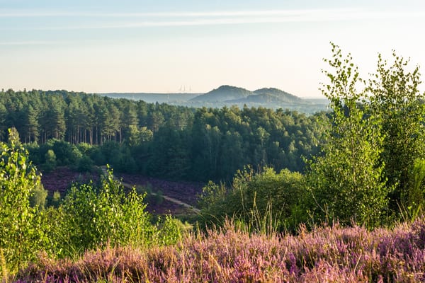 Toegangspoort Mechelse Heide in doen