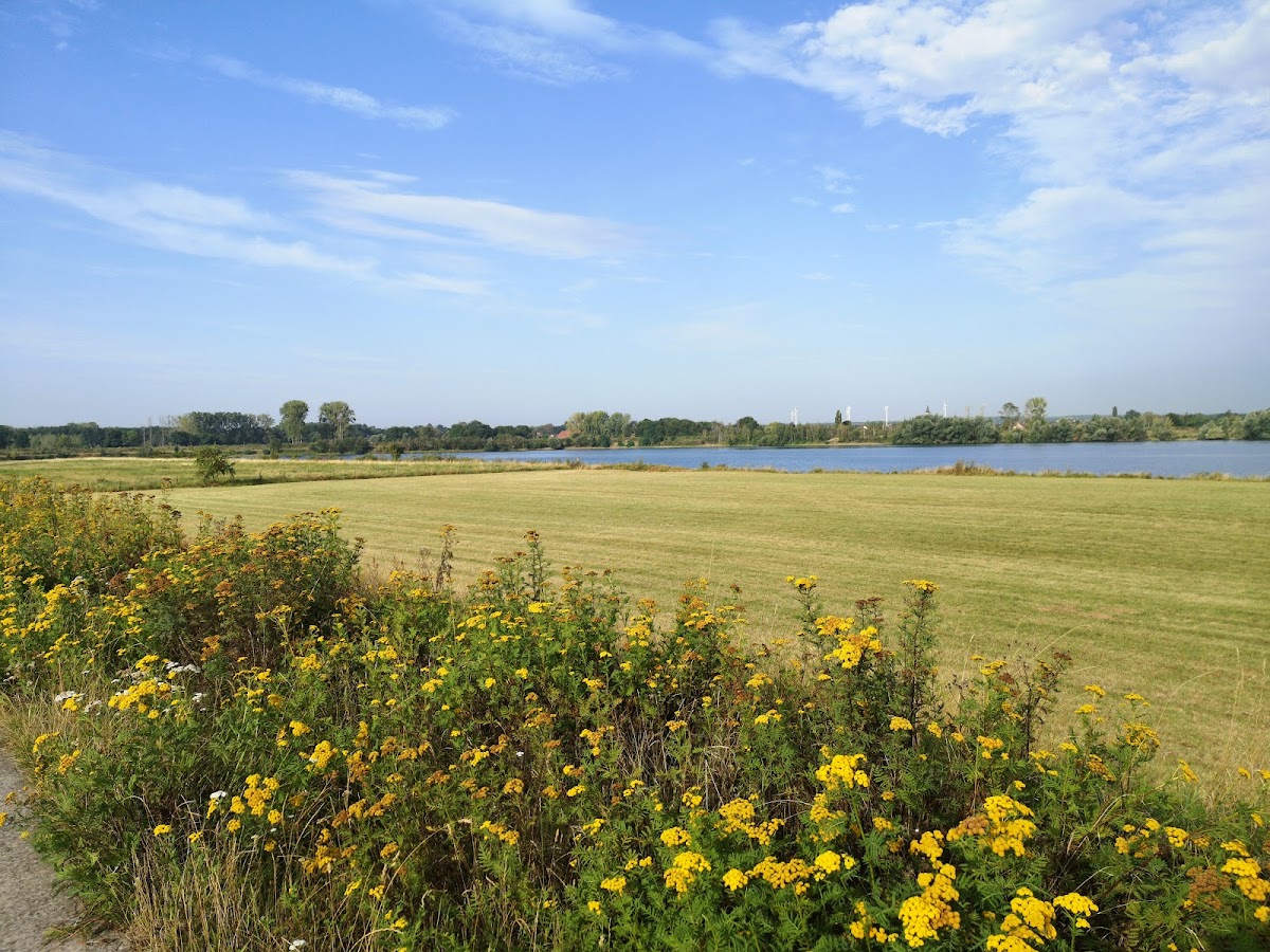 Meerheuvel in Dilsen-Stokkem — park
