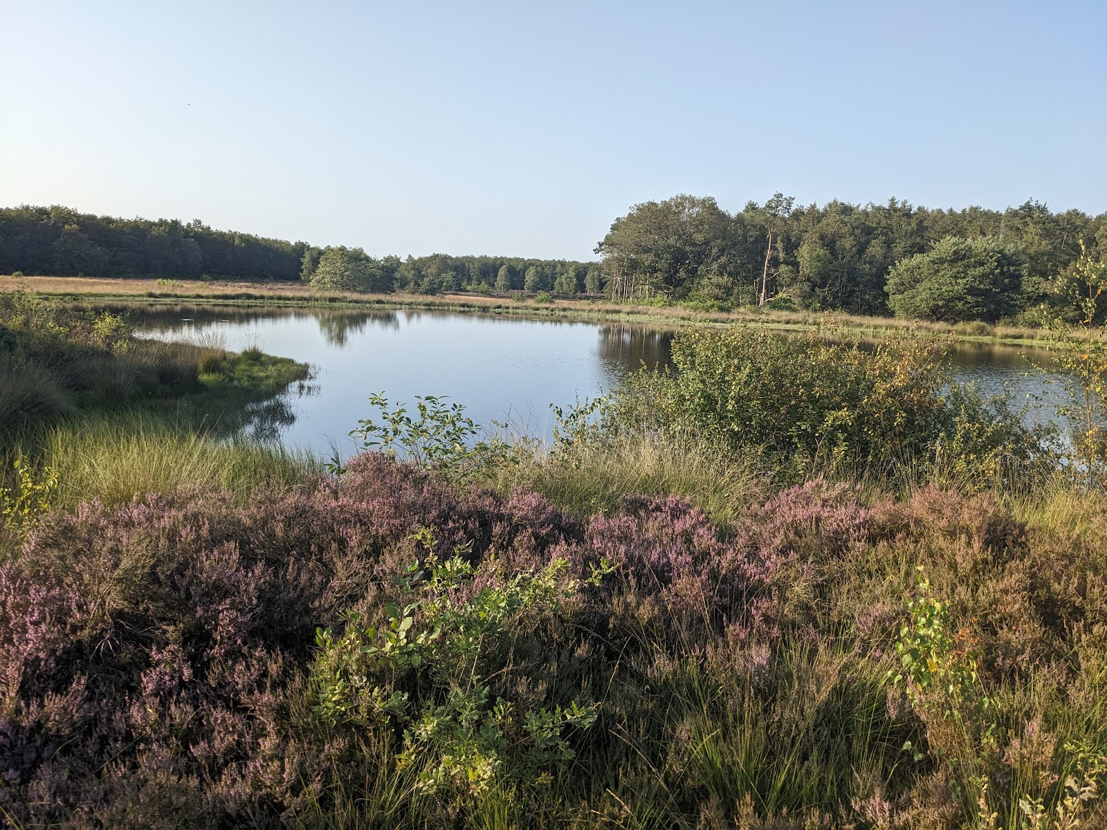 Schaopedobbe in Elsloo