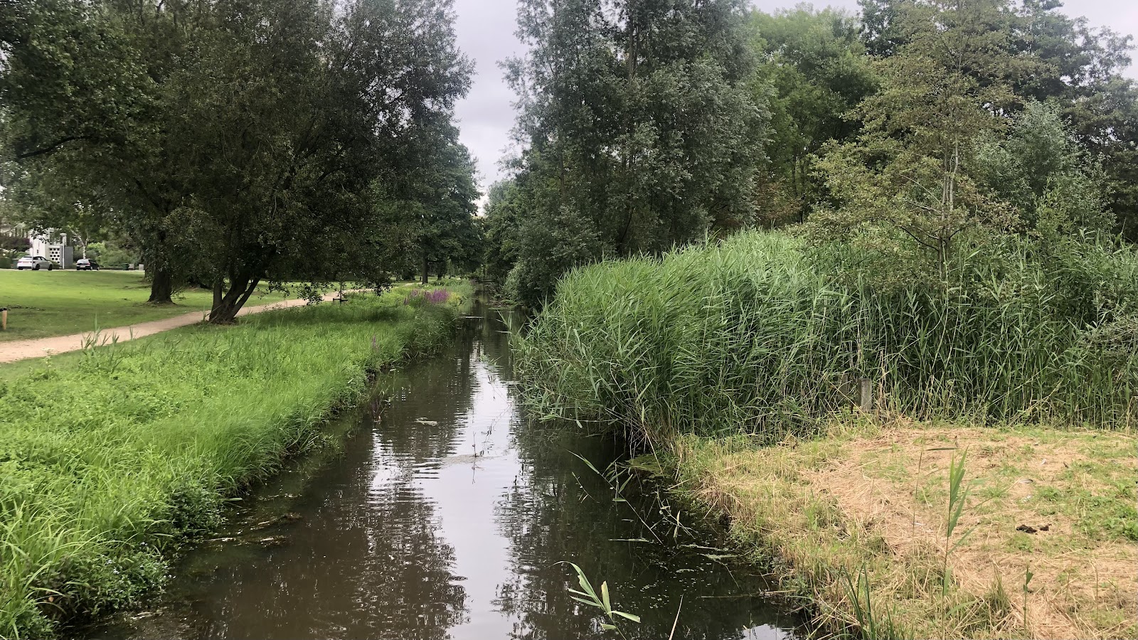 Burgemeester Bergerpark in Venlo — park