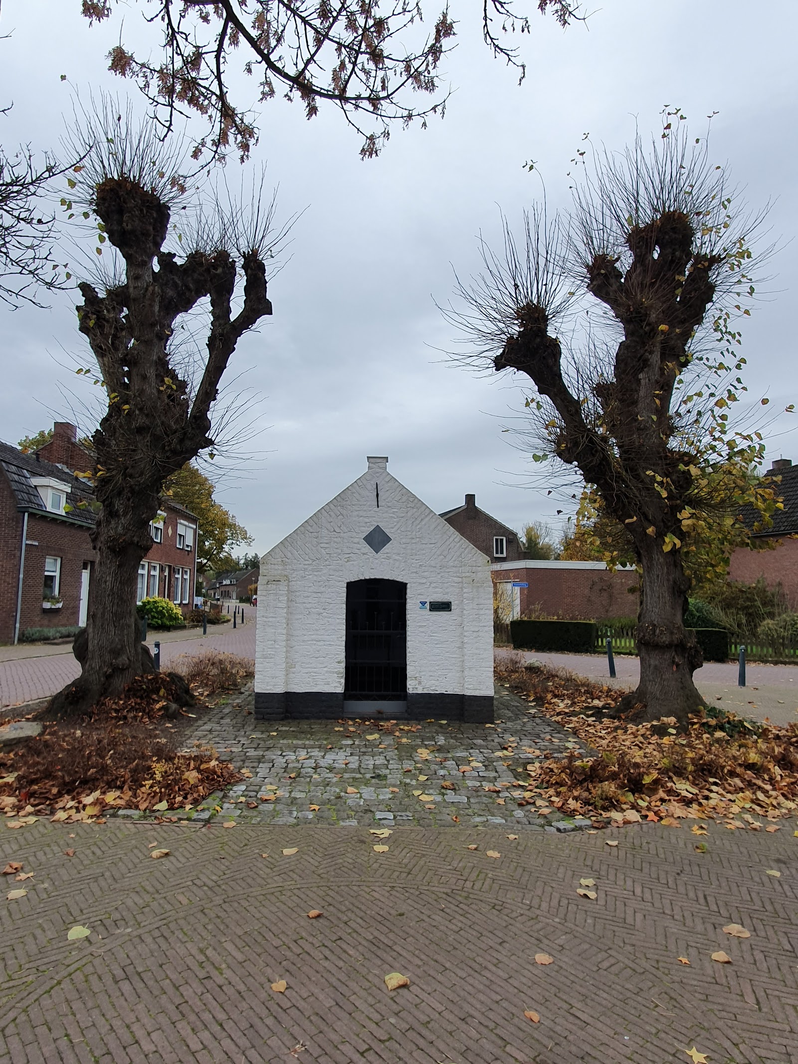 Stg. Orgelf. Parochie Heilige Theresia van het Kind Jezus in Swalmen