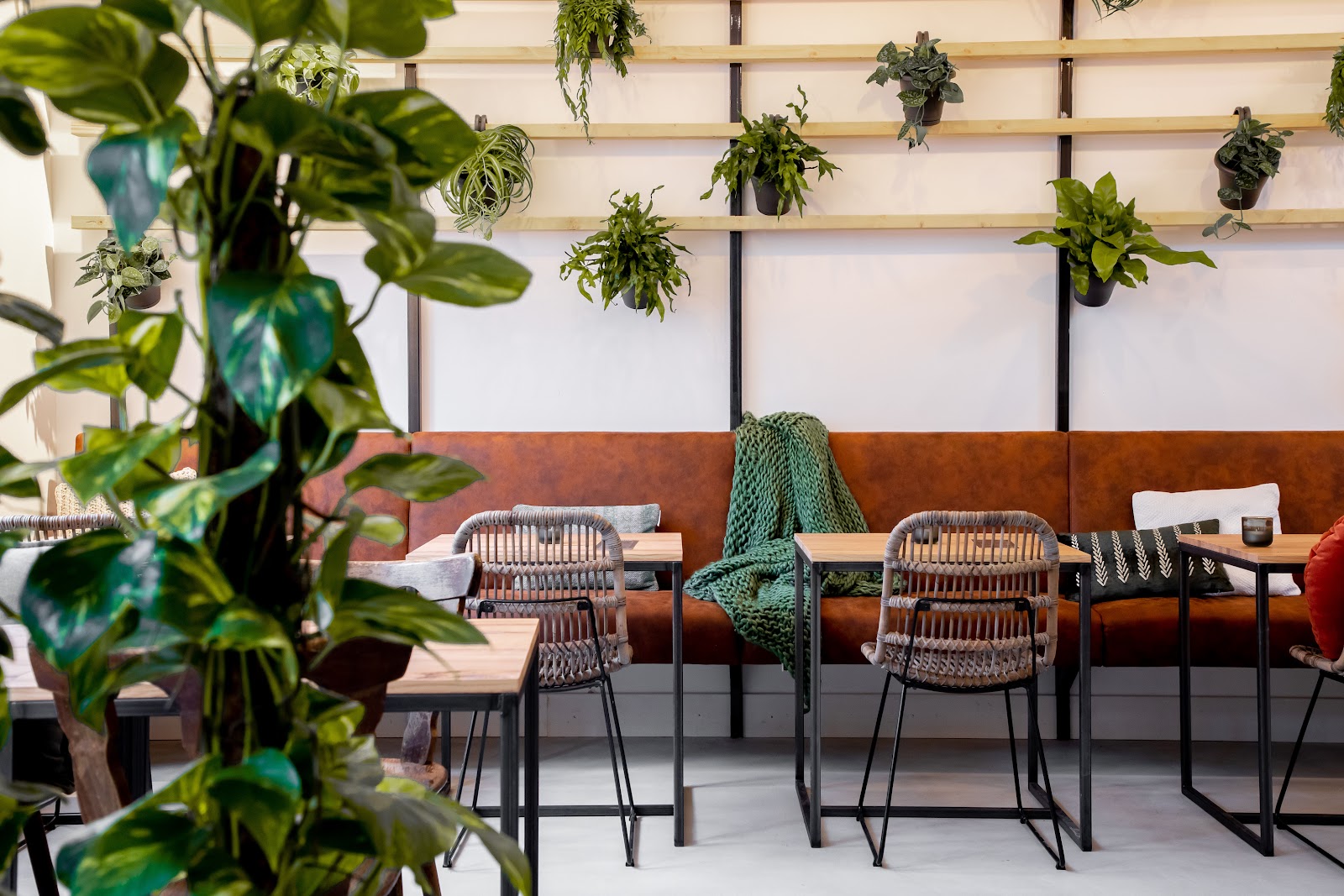 GEMBER in Horst — restaurant