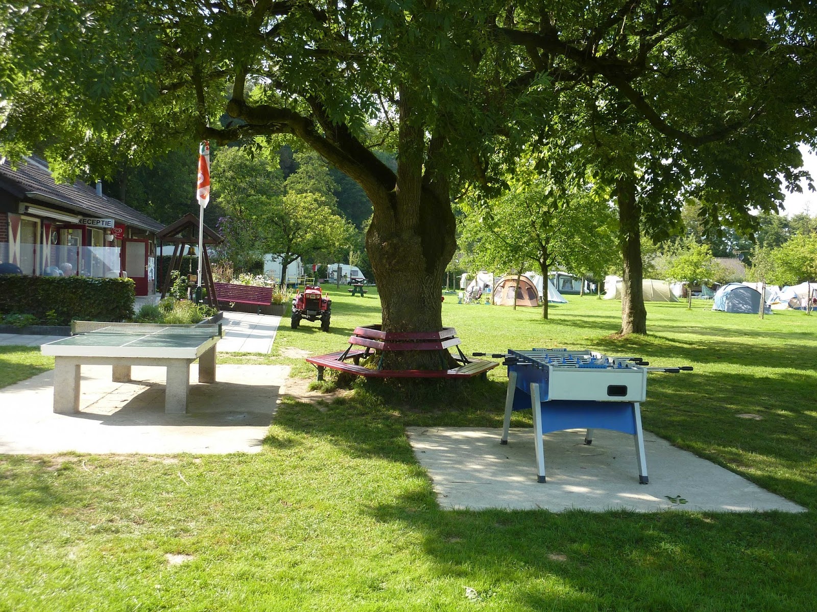 Camping De Gele Anemoon in Wijlre