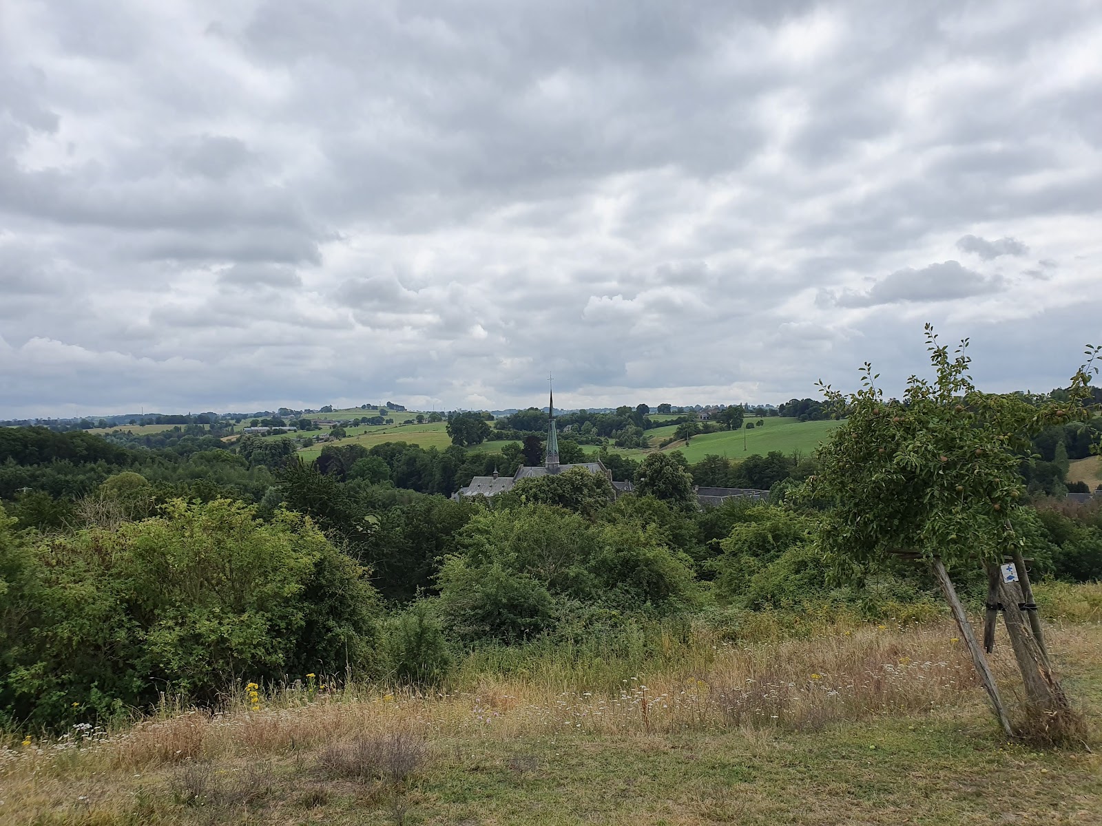 Natuurgebied Val-Dieu in Herve — park