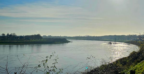 smeermaas, Maasdijk in Natuur