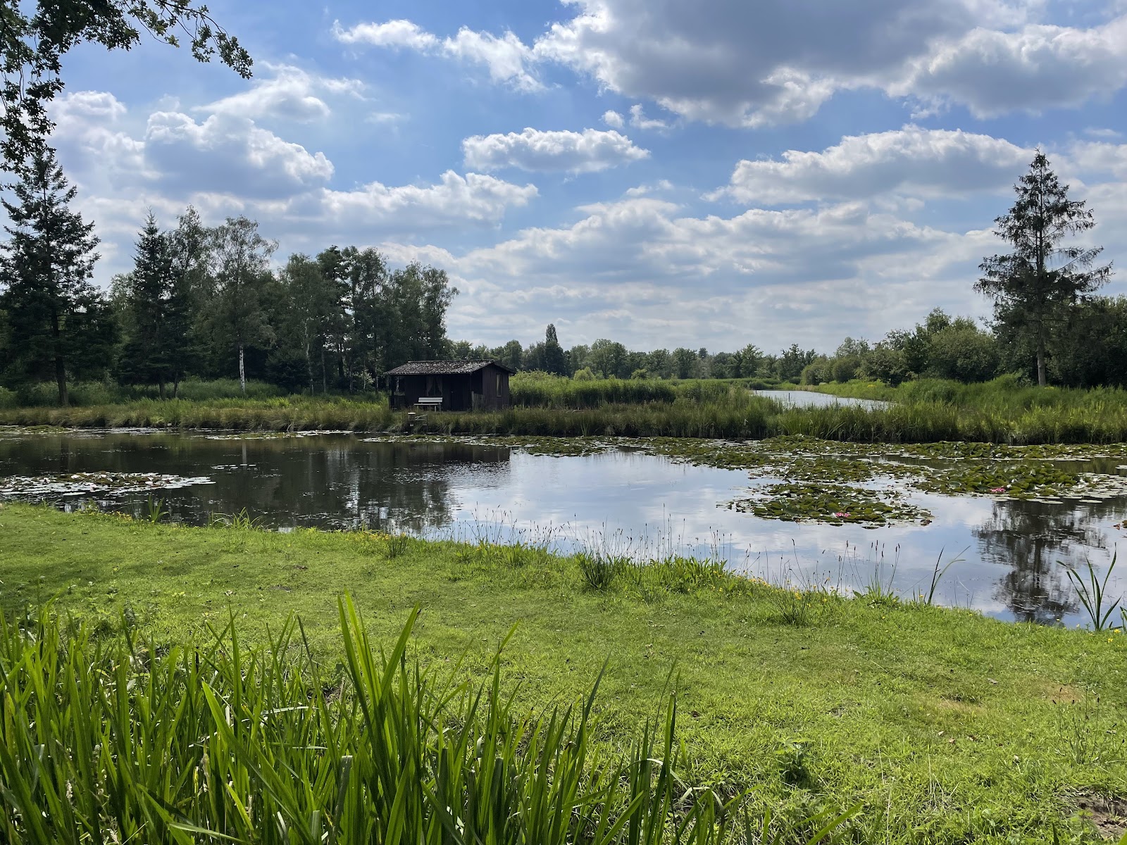 Start wandelingen: De Wijers: Platwijers - Wijvenheide - Heidestrand in Zonhoven