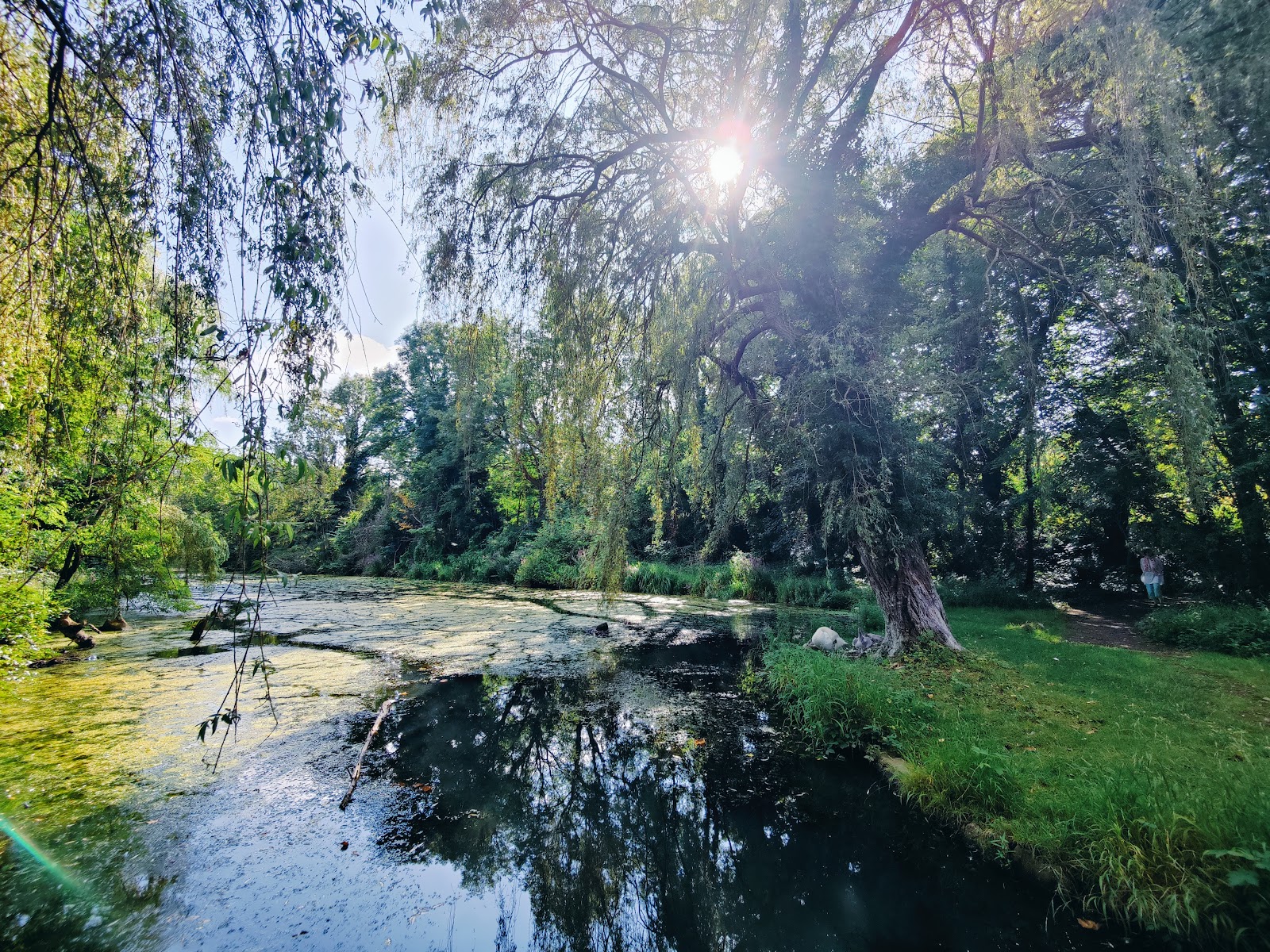 Le Hemlot in Oupeye — park