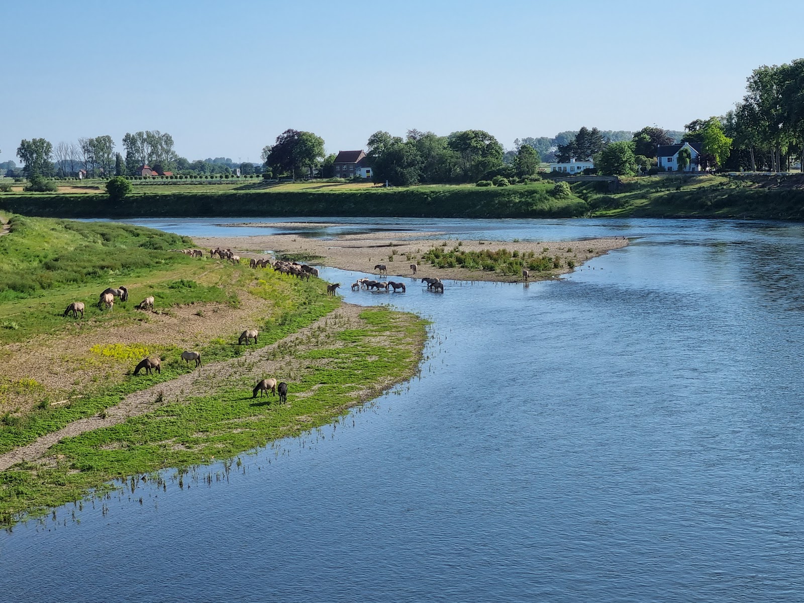 Natuurgebied De Rug in Roosteren — park