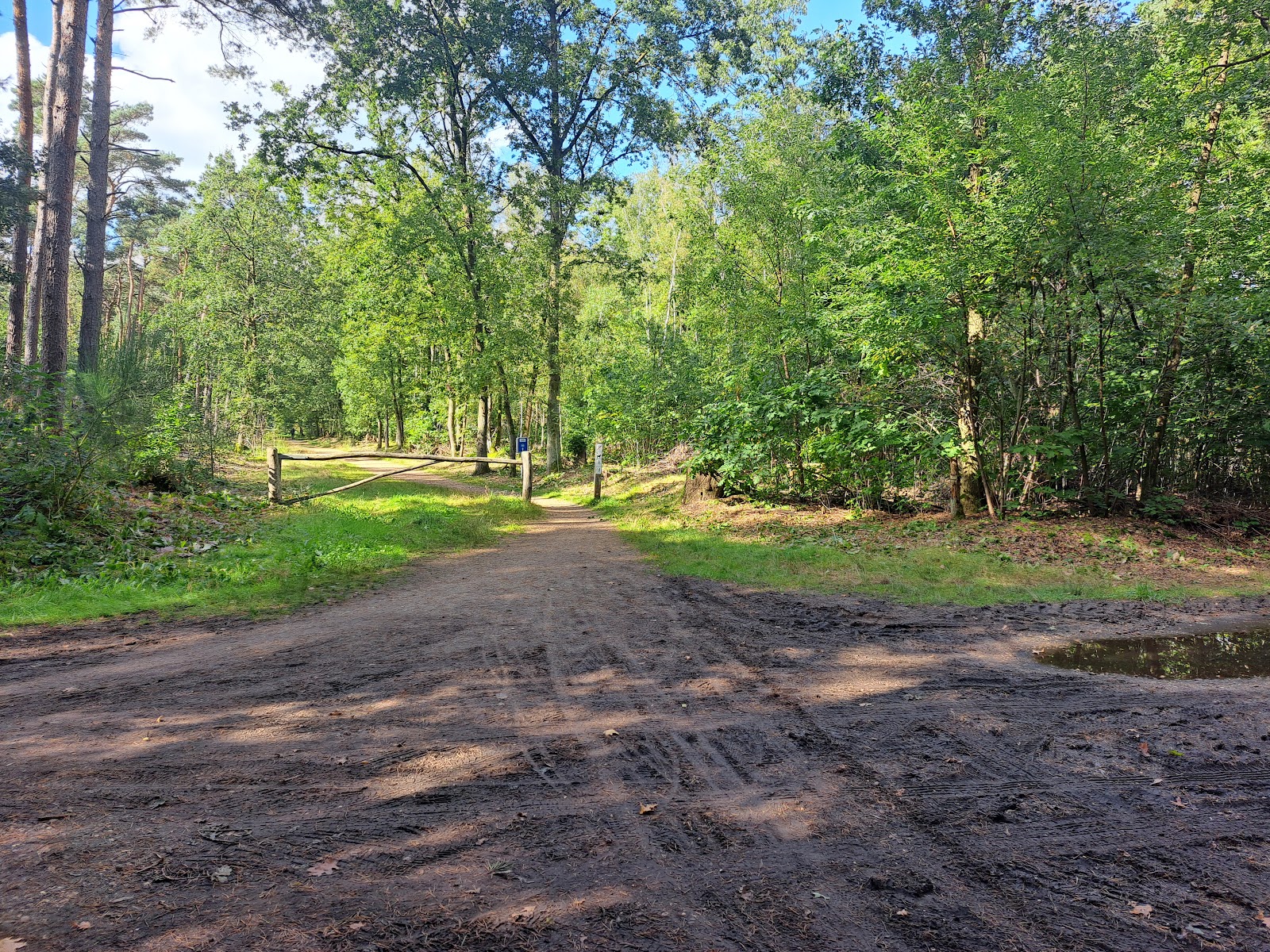 Bossen van Schoonbeek in Bilzen-Hoeselt — park