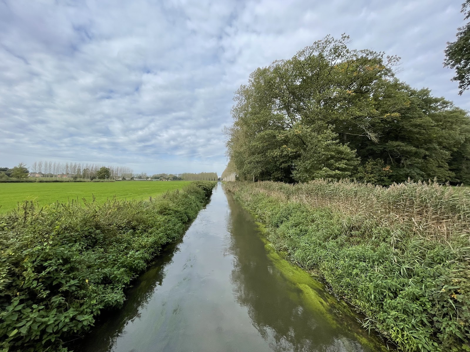 wandelgebied De Dijken in Diepenbeek — park