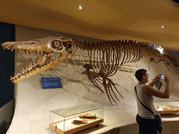Natuurhistorisch Museum Maastricht in doen