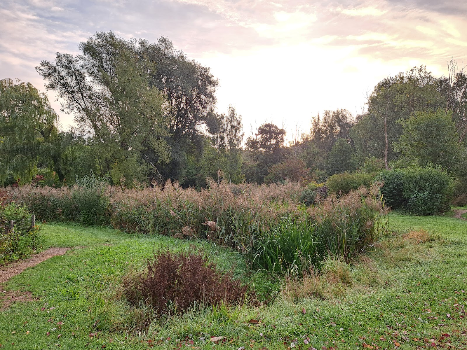 Biotope de la Guizette in Bitsingen