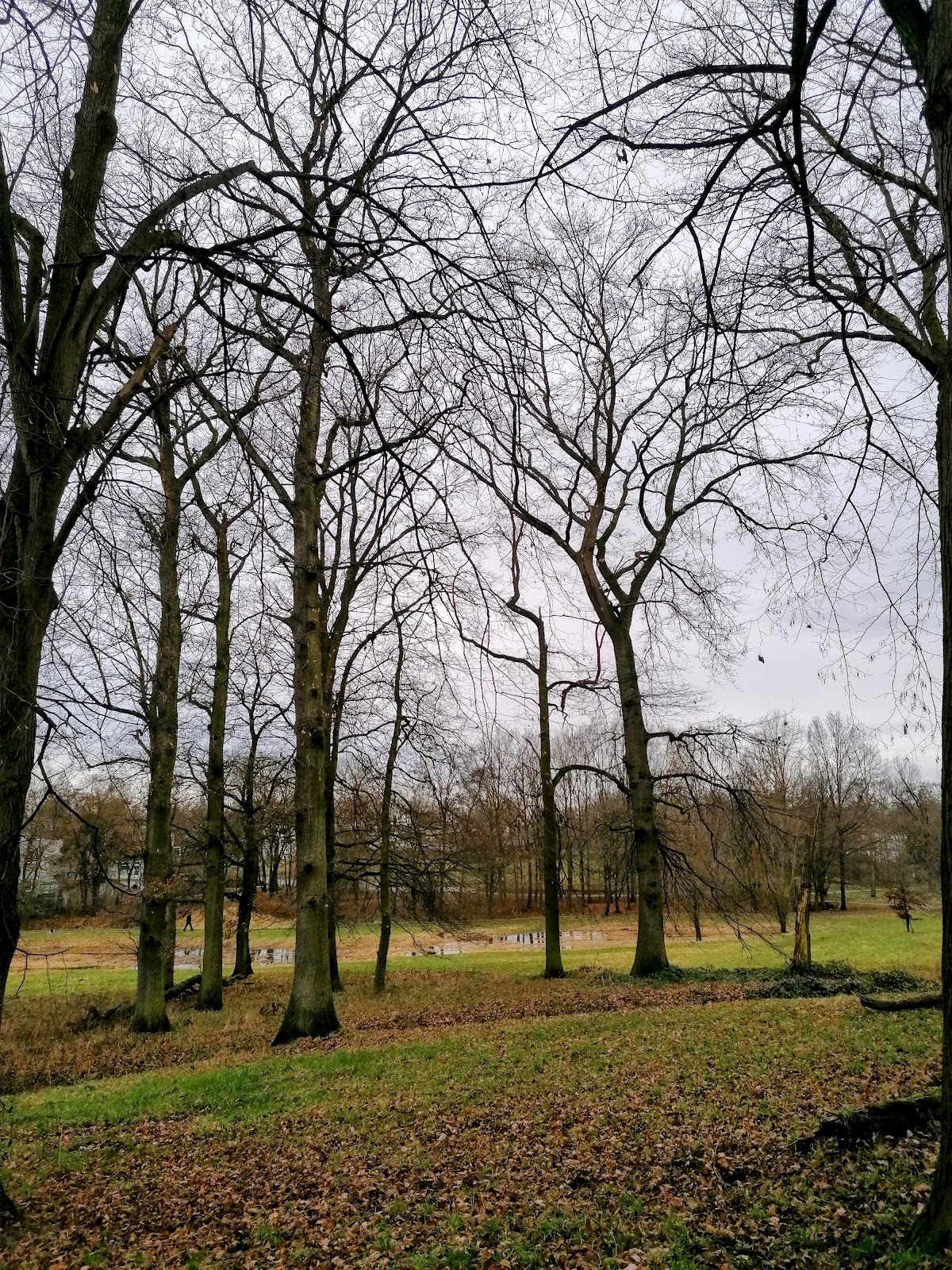 Welterpark in Heerlen — park