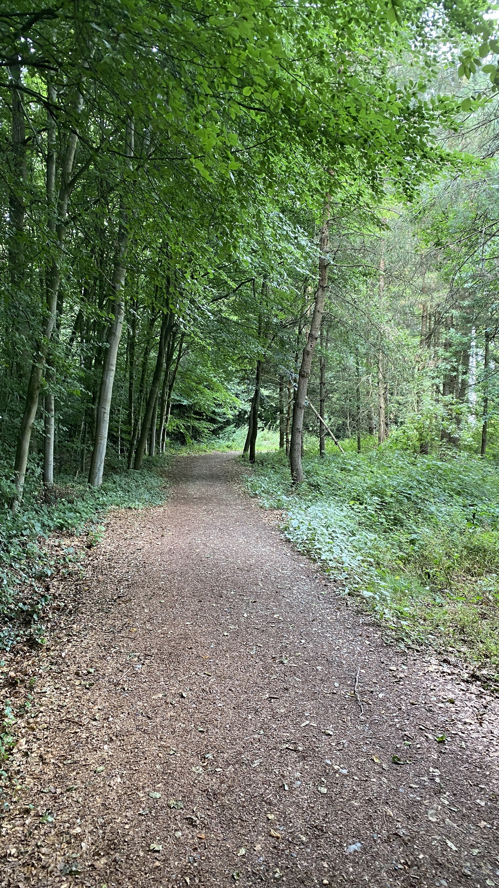 Roodbos in Voeren — park