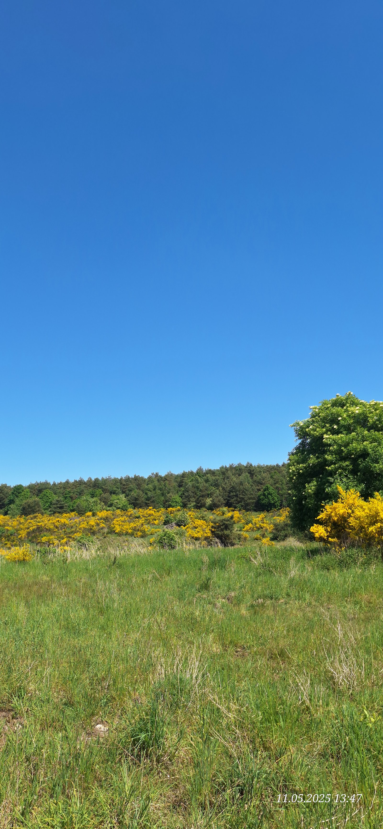 Lanklaarderbos in Dilsen-Stokkem
