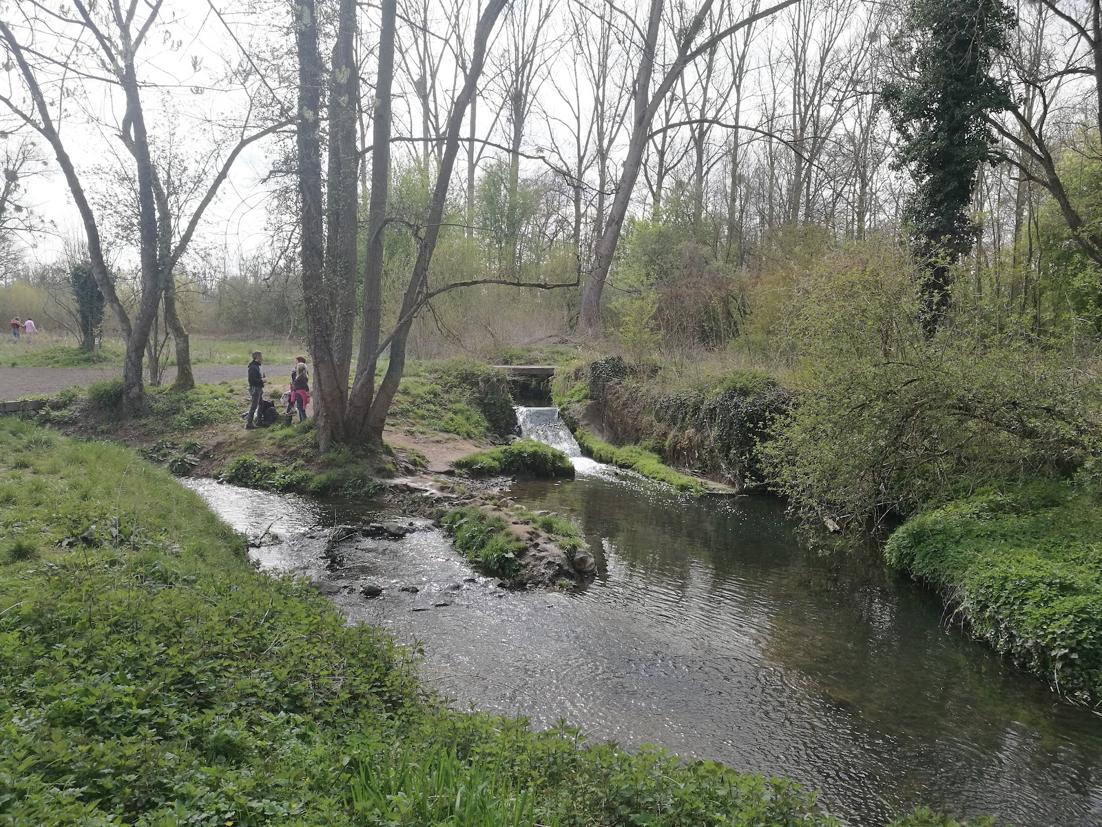 Motmolen in Bilzen-Hoeselt