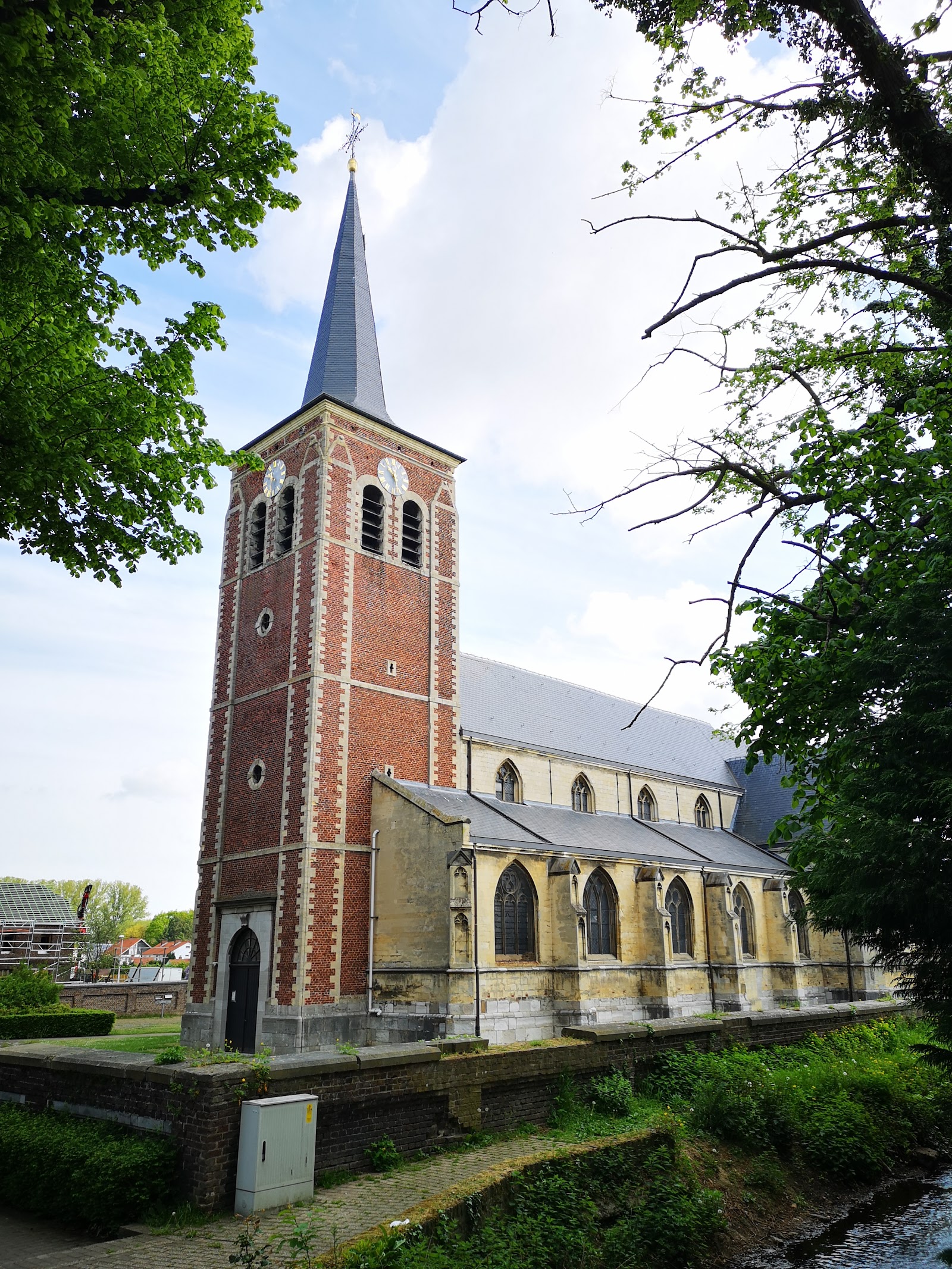 Sint-Lambertuskerk in Maaseik