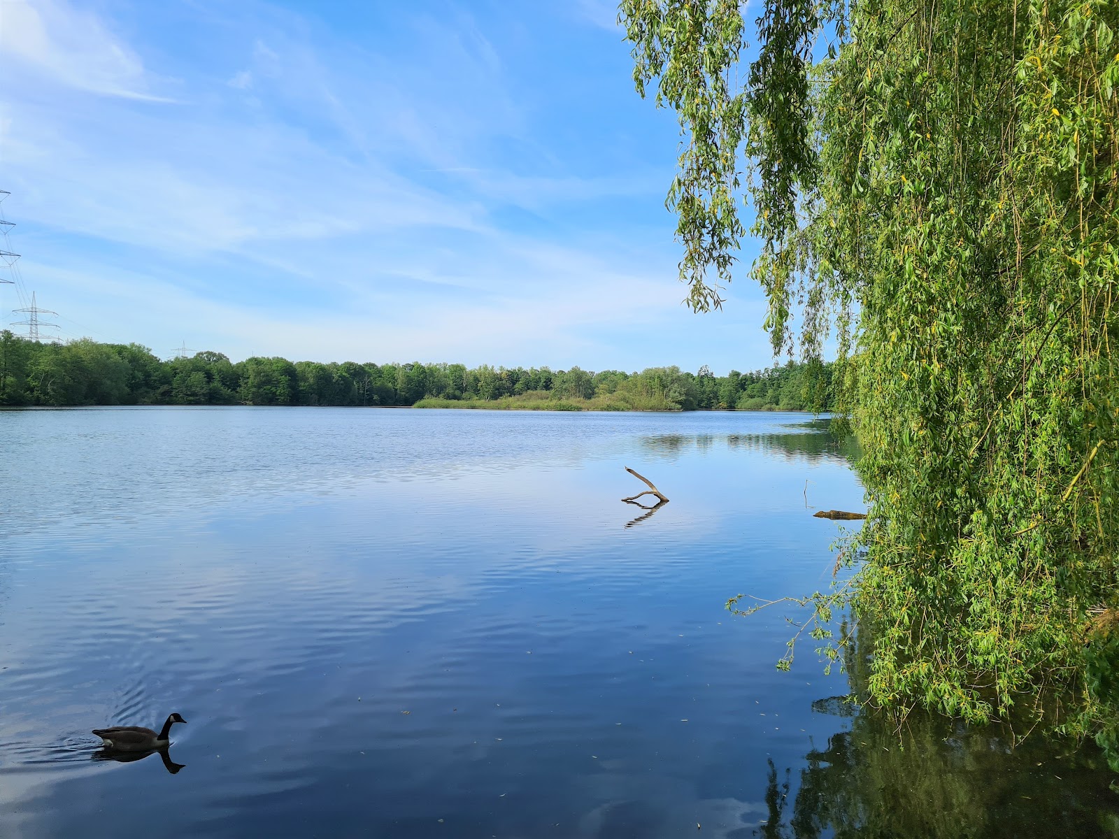 Hertener Emscherbruch in Herten