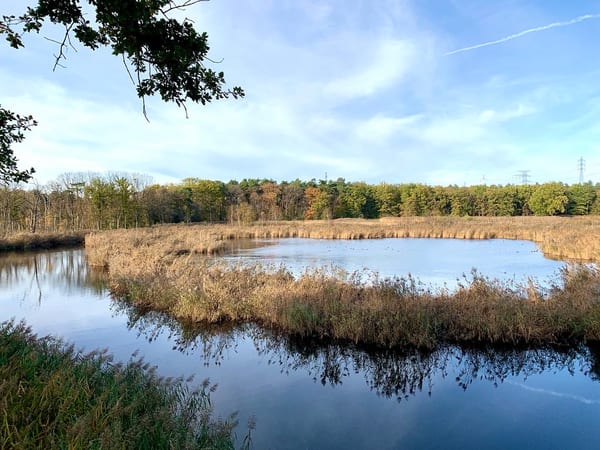 Munsterbos in doen