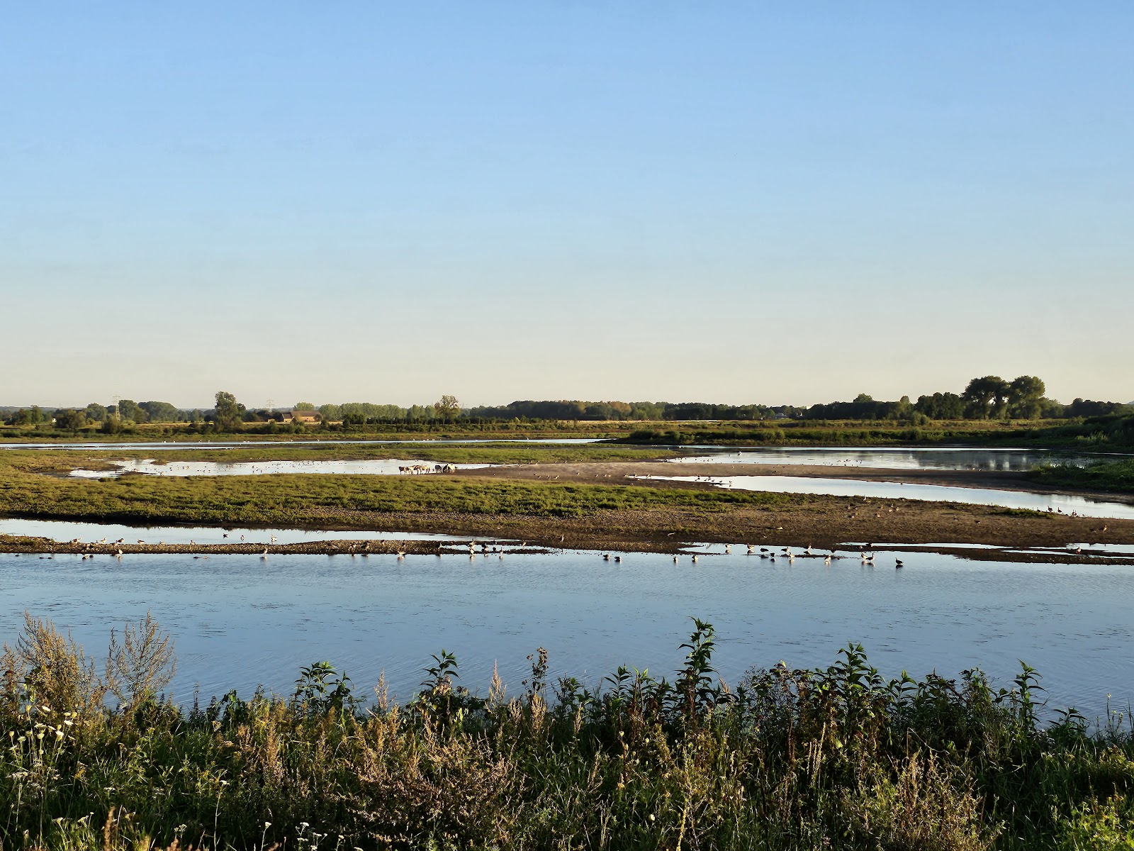 Rivierpark Maasvallei in Lanaken