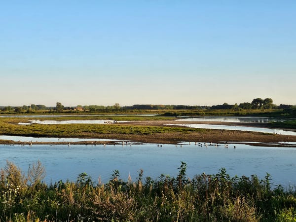 Rivierpark Maasvallei in Natuur