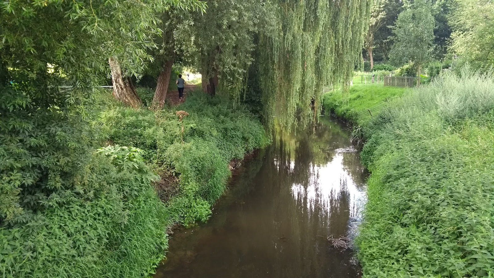 Kathagerbroek in Nuth — park
