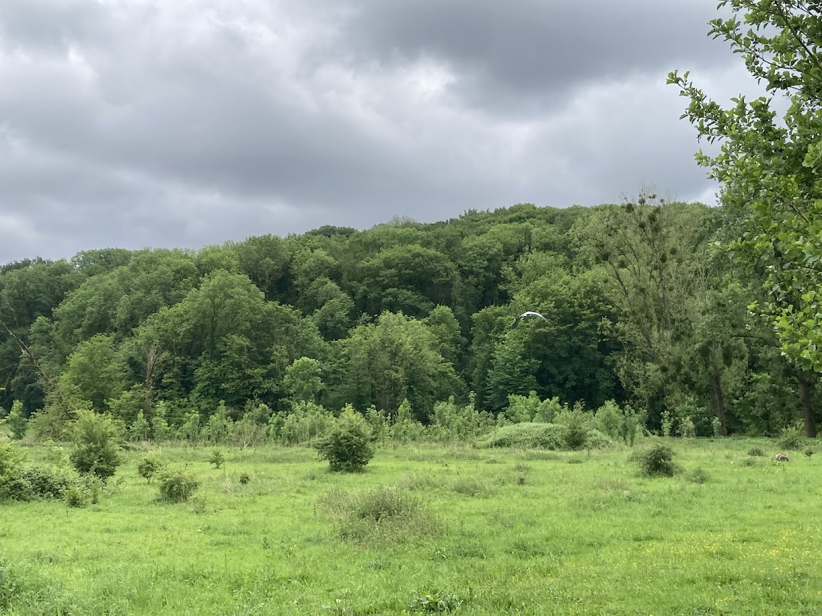 Ingendael in Valkenburg — park