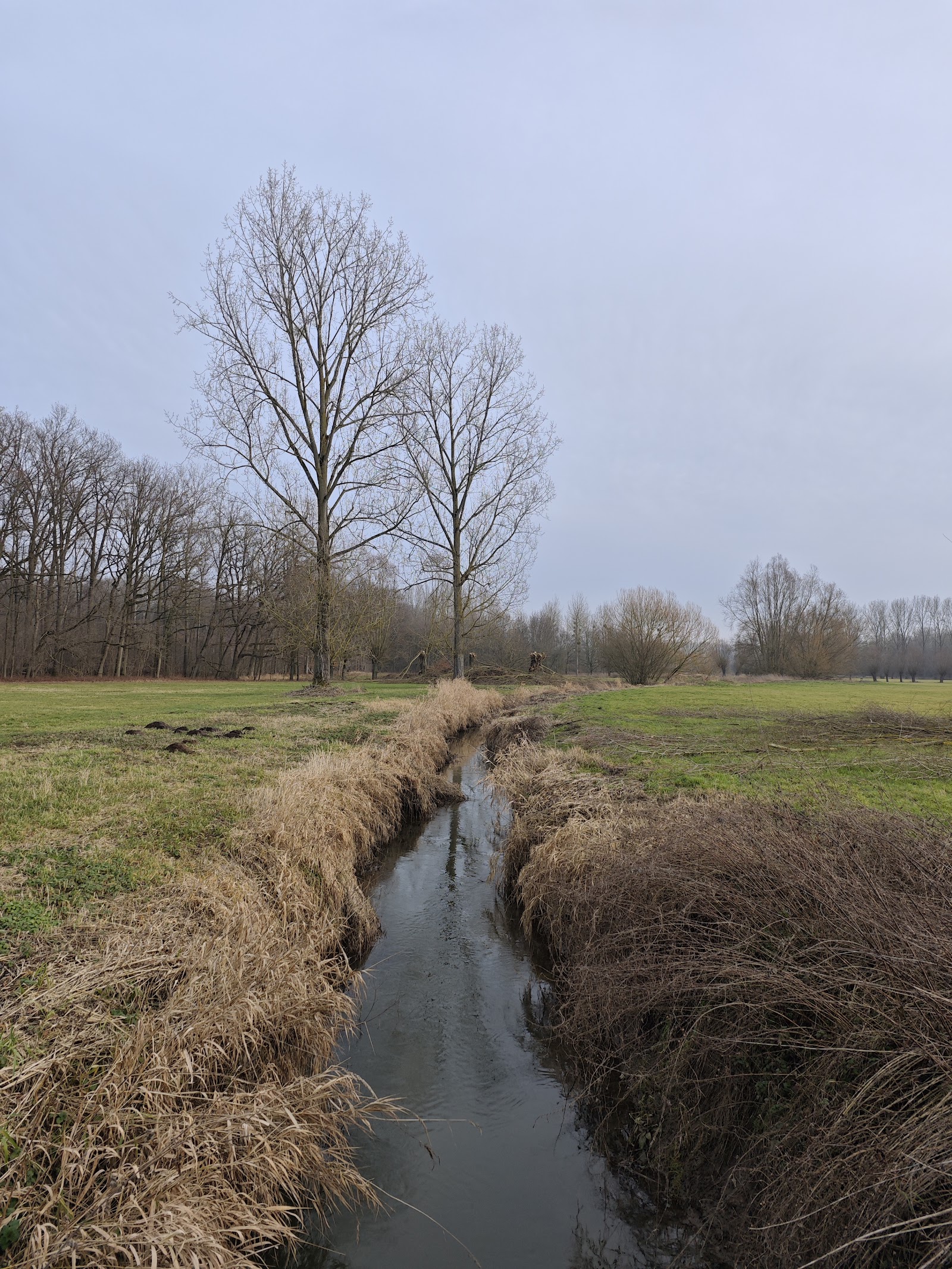 Nietelbroeken in Diepenbeek