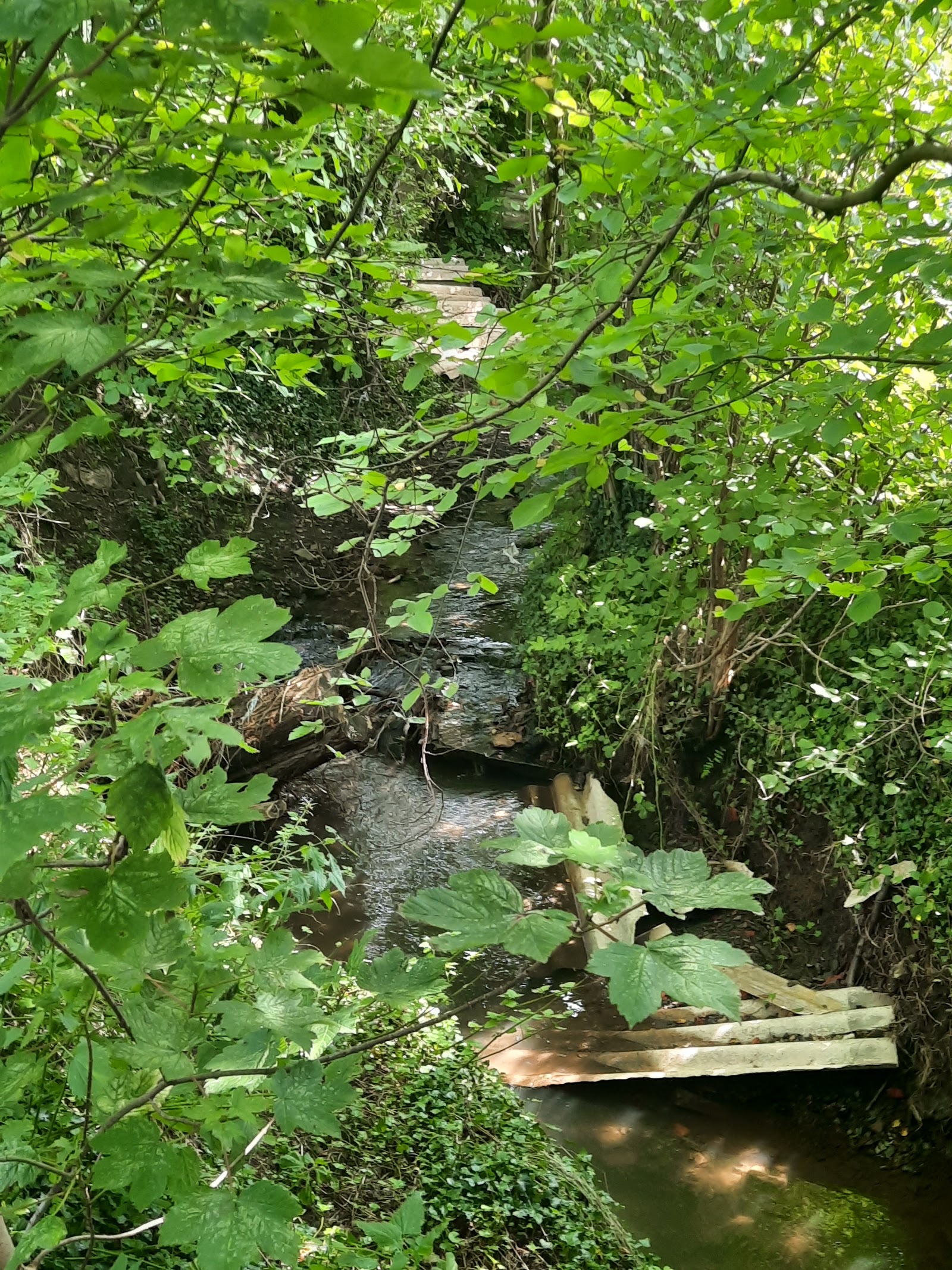 Thier des oies- Parcours santé in Thimister-Clermont — park