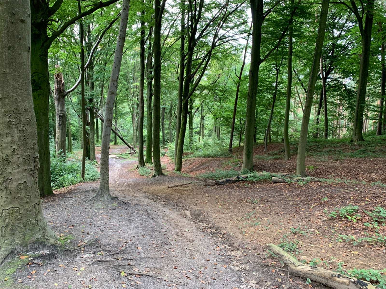 't Ommetje - Wandelen langs de Sjweikeser Rèngelaot in Sweikhuizen