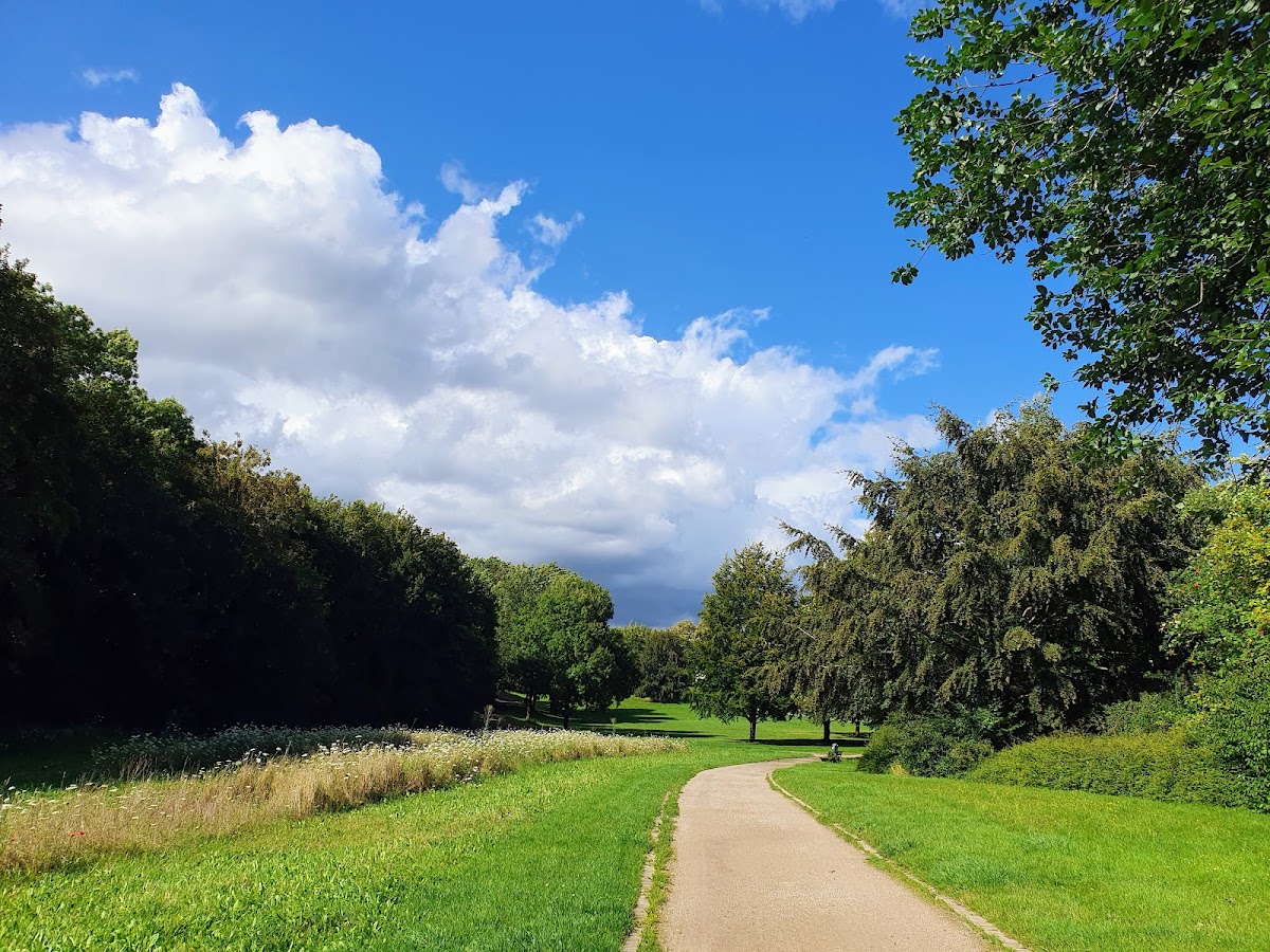 Hollandwiese in Aachen — park