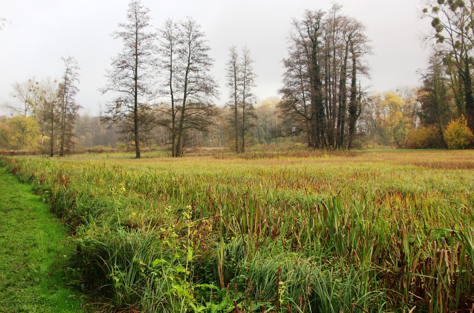 De Molenbeemd in Riemst — park